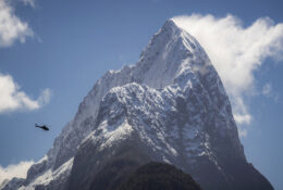 New Zealand 2025 (2 group) (36/84)